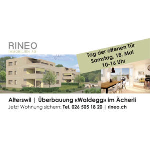 Blache Rineo Immobilien AG